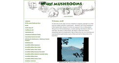 Desktop Screenshot of madaboutmushrooms.com